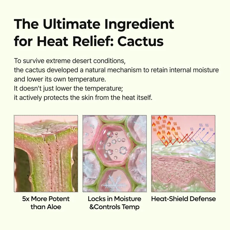 CACTOX Multi Balm by Dr. Melaxin | Versatile Face and Body Stick for Pore Minimization, Chafing Relief, and Cooling Comfort | Enriched with Cactus Extract, Zinc PCA, and Adenosine | Premium Korean Skincare